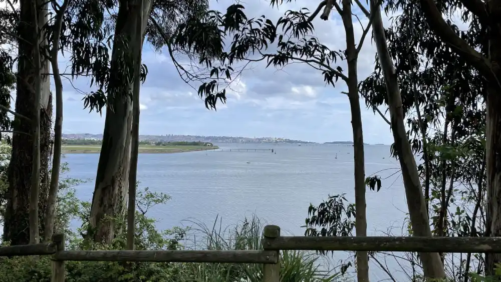 Vistas desde la Isla de Pedrosa